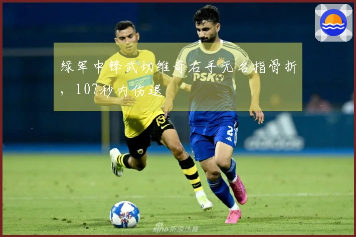 绿军中锋武切维奇右手无名指骨折，107秒内伤退
